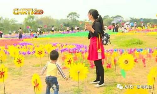 四、 汐溪亲子游：一场与众不同的家庭旅行（复制粘贴版）