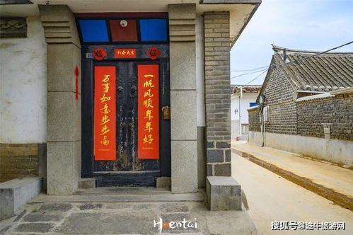 村里的老槐树：见证历史的沉默者