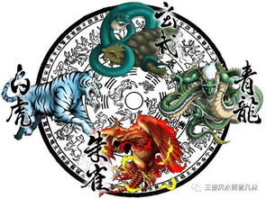 关于那只红色大鸟的玄学叨逼叨