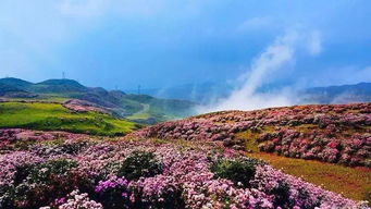 四季美景， 等你来发觉