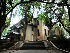 川沙到高桥：一场与地铁的世纪大战