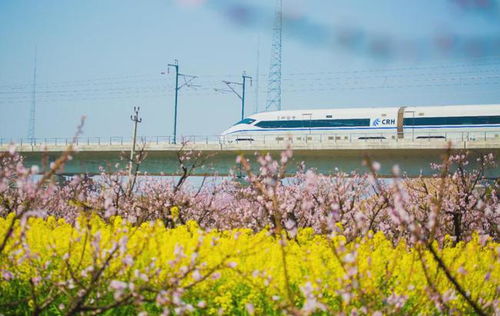 震惊！杭州到湖州旅游专列竟如此黑心！看完这篇你绝对不敢坐！