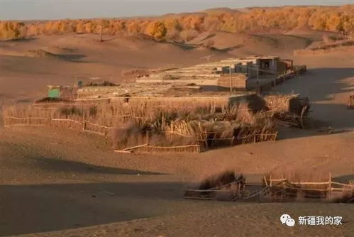 一、 启程：泰安的古老韵味（以及我差点没赶上火车）