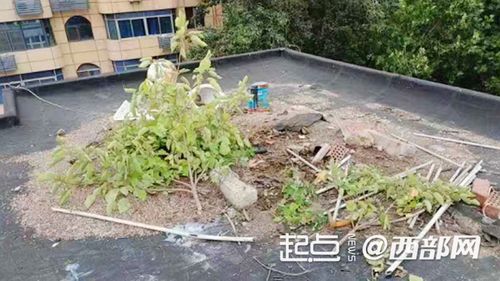 沙子放楼顶会漏水吗,楼面起砂原因