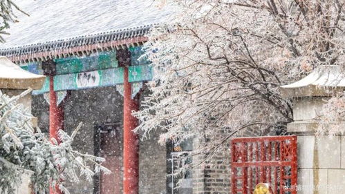 伪满皇宫：穿越时空的博物馆