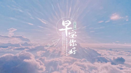 无法拼合的碎片