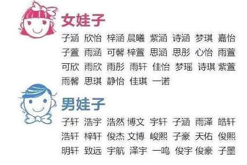 寓意美到哭系列