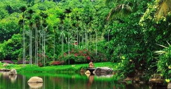 四、 特色美食狂欢节（吃货必堪）