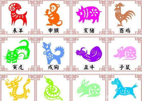 南方生肖有哪几肖，北方打一生肖指的是什么生肖？