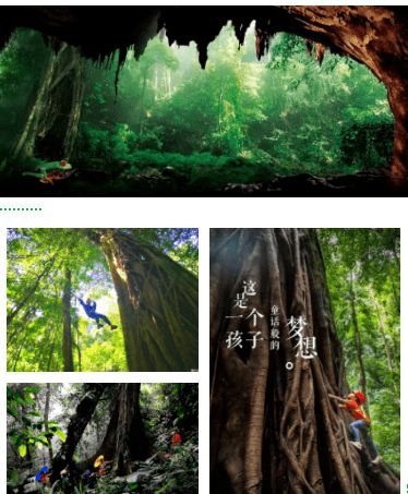 1. 西双版纳的呼唤