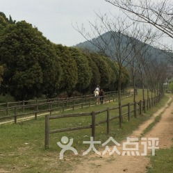 门票攻略：实惠购票不踩坑