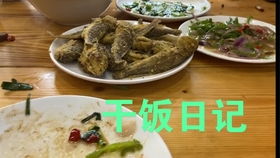 ：迅速来体验吧！