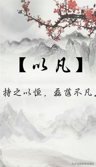 张姓女孩：寻觅那颗闪耀才华的星辰
