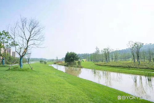 七、  陷陂湖：宝宝的乐园，春天的诗篇