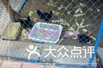 探索较大兴崭新地标：超级萌猩亲子乐园的沉浸式体验