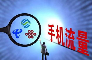 5、市场环境规模预测（表格）— 用表格做视觉冲击力！