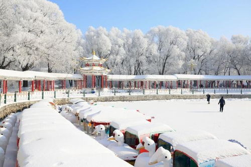 二、 百万游客的狂欢之旅