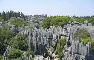a. 雾隐石桥（又名“小黑洞”）
