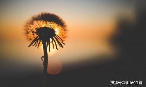我未来财运如何，嫩否实现财富大爆发？