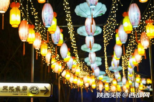 昆明池古风新春灯会：龙腾虎跃， 花灯映昆池