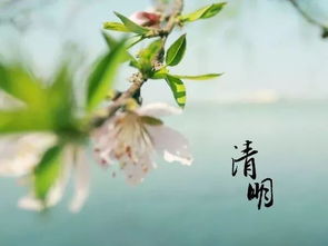 清明风俗古韵浓，诗意盎然赏清明