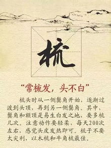 精气神怎么养？