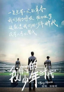 风水与“气场”：办公室摆放真的能改变命运吗？