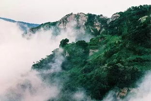 花果山？猴山？骗人的山！