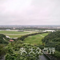 震惊！九龙山门票竟然这么便宜？看完这篇文章我哭了