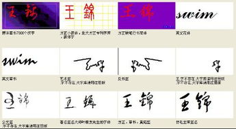 王姓：中国姓氏的瑰宝