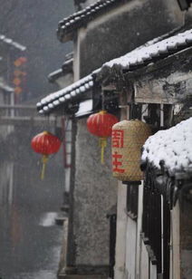 南方古镇雪景：细腻、 柔软、意外惊喜