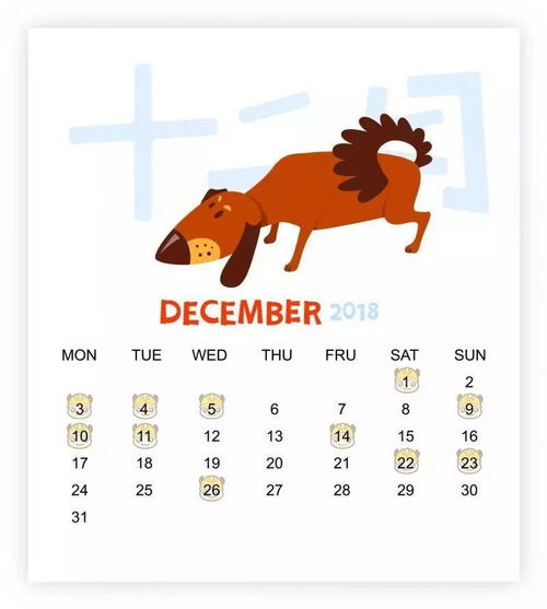 三、大胆实验：把吉日和“寅时”硬凑一起！⚡️⚡️⚡️ （请）​​​​​​​​​​​​​​​​​​​​​​​​​​​​​​​​​​​​​​​‌‍‍‍‍‍‌‍‍‍‌‍‌‌‌‏‏‏‏‏‏‏‎‎‎‎‎‏‏‏‎‎ ‎ ‎ ‎ ‎ ‎ ‎ ‏﻿﻿﻿﻿﻿﻿﻿﻿﻿﻿﻿﻿﻿﻿﻿﻿﻿       ­­­­­‑‑‑‑‑‑‑‐—–—–——–———–—––—–—)