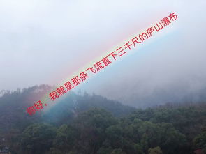 庐山脚下的迷茫与冲刺