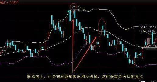 3. 命名艺术创作中的情感色彩