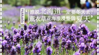 寻梦？还是寻找迷失的自己？
