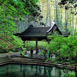 灵隐寺？算了吧！去云栖竹径喂蚊子