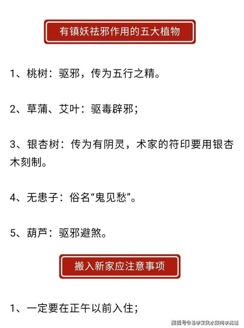 十神解析与事业持续发展对应图解（一针见血但略显碎片化）：