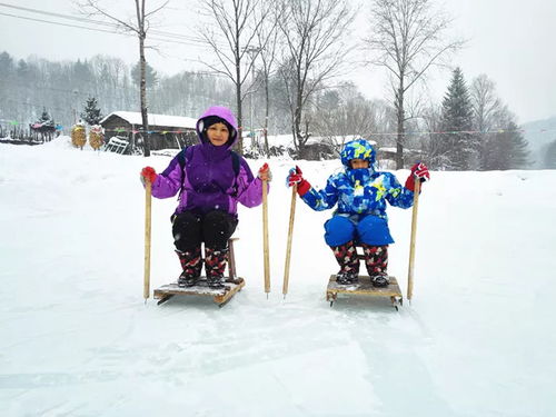 2.1 雪乡的诱惑