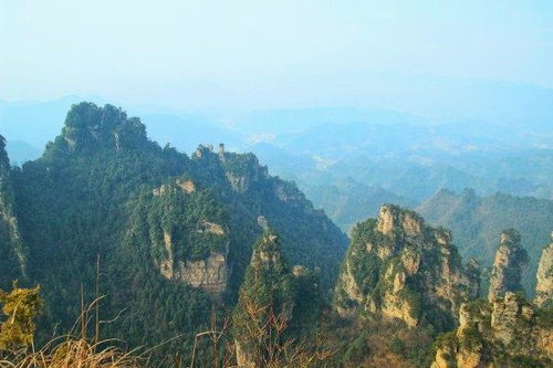 第二天：森林公园疯狂打卡