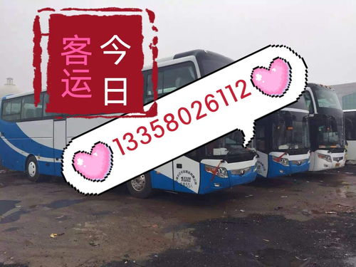 抢票避坑指南：从“查不到”到“买对了”的三重门