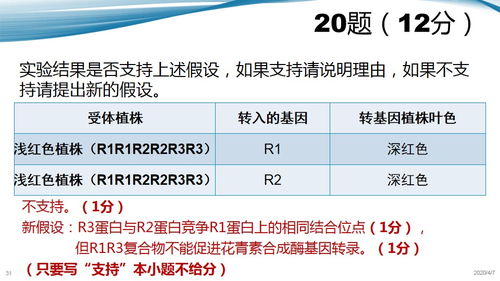 杨宸多乐名字评分分析
