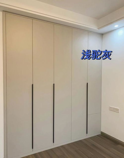 衣柜柜子颜色,室内衣柜颜色