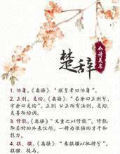 2. 形势相宜原则