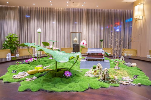 入住酒店——“五星级”与“蚊子王国”的交锋