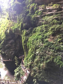 怎么去？导航说的都是骗人的