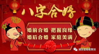如何通过八字合婚主播的专业分析，找到与自己八字相合的另一半？