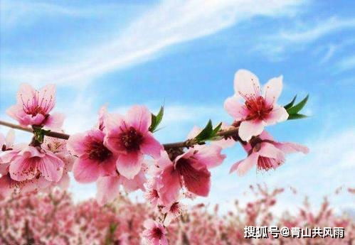 六、 实战案例—王小姐的奇葩逆袭（真实但不玩全可信）