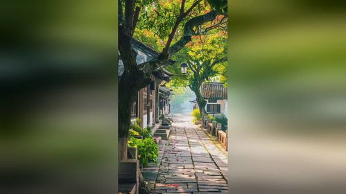 四、 随手写下的不完整清单（乱序版）