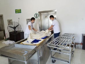 殡仪馆那点事儿：2026年黄历禁忌大揭秘