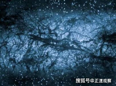 恐慌像藤蔓一样缠绕